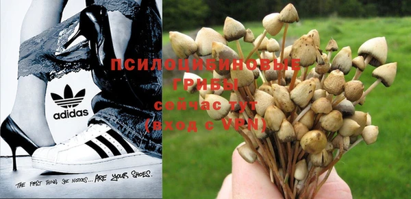 прущие крисы Бронницы